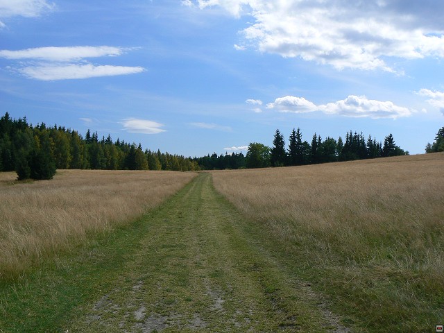 Jeseniky_08-08-14_15.jpg