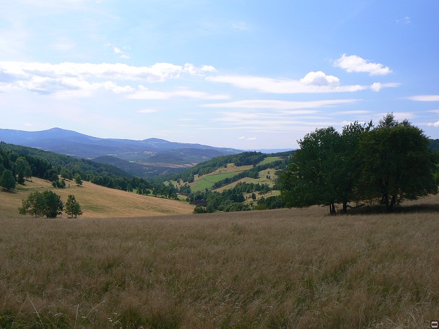 Jeseniky_08-08-14_16.jpg