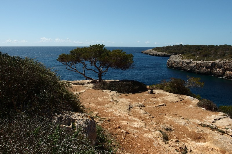 P4090014.jpg