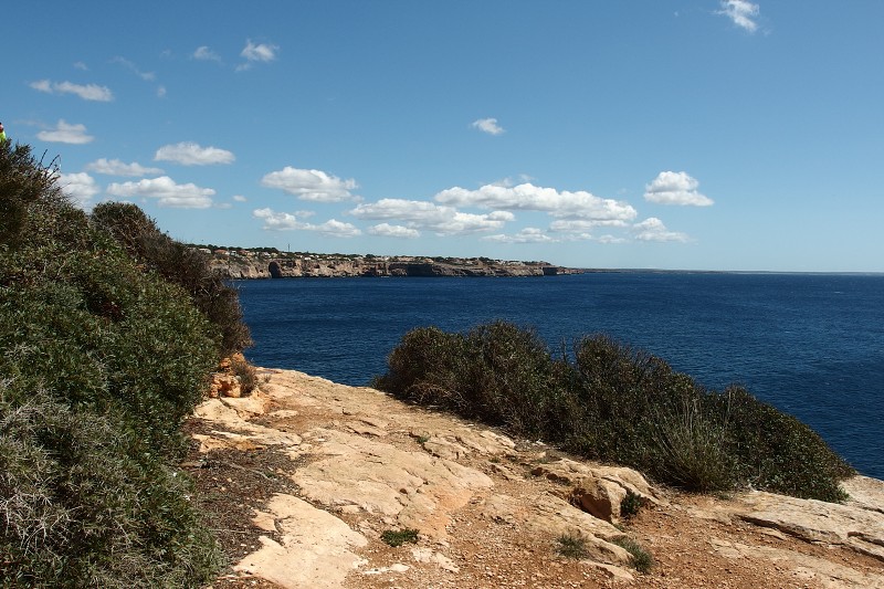 P4090015.jpg