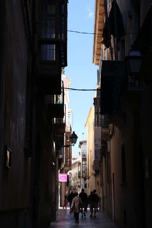 IMG_3755.jpg