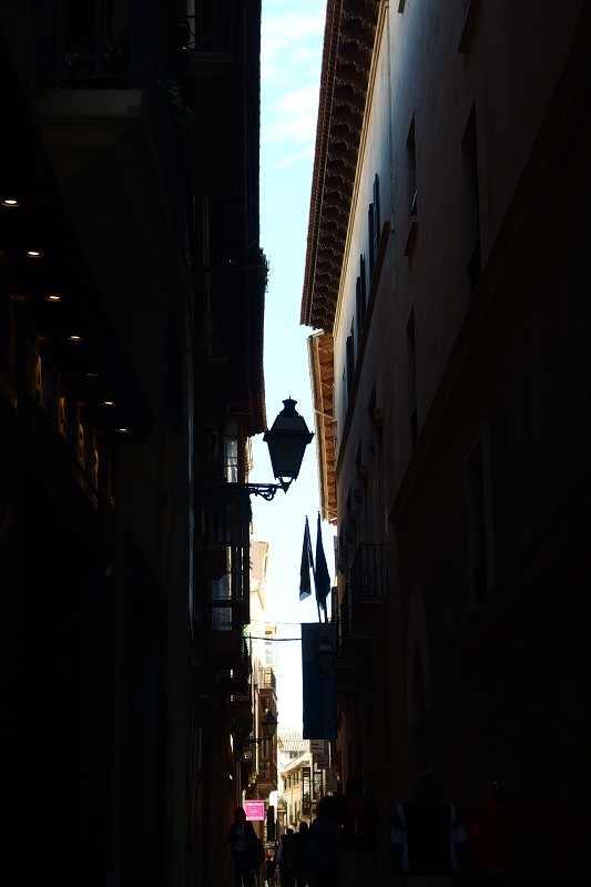 P4130124.jpg