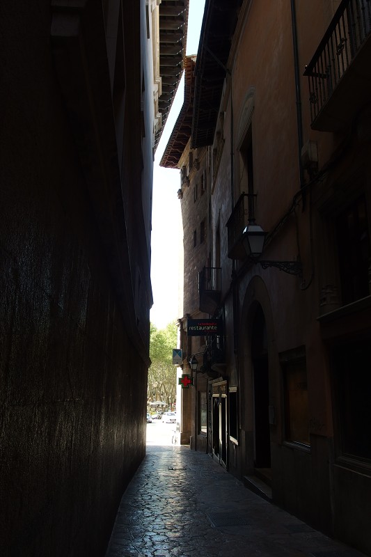 P4130125.jpg