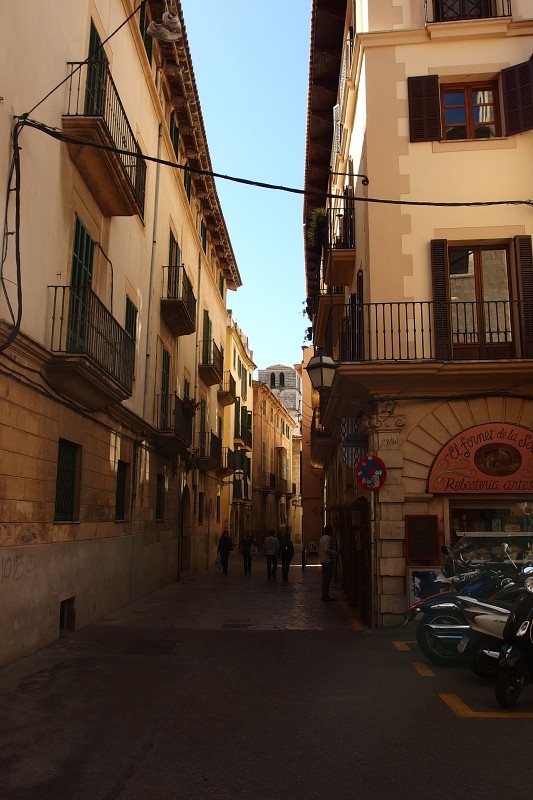 P4130129.jpg