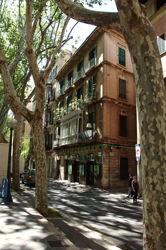 P4130135.jpg