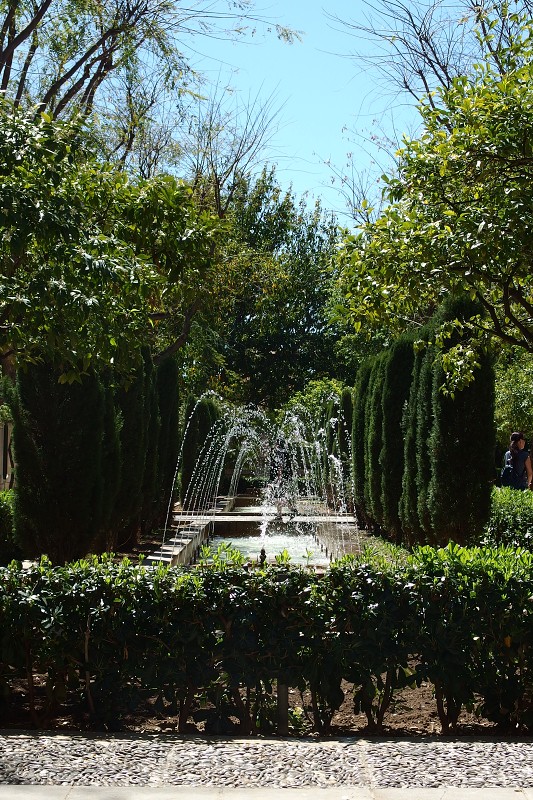 P4130164.jpg