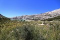thn_IMG_3934.jpg