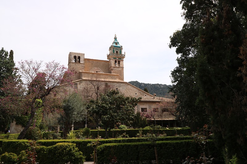 IMG_3977.jpg