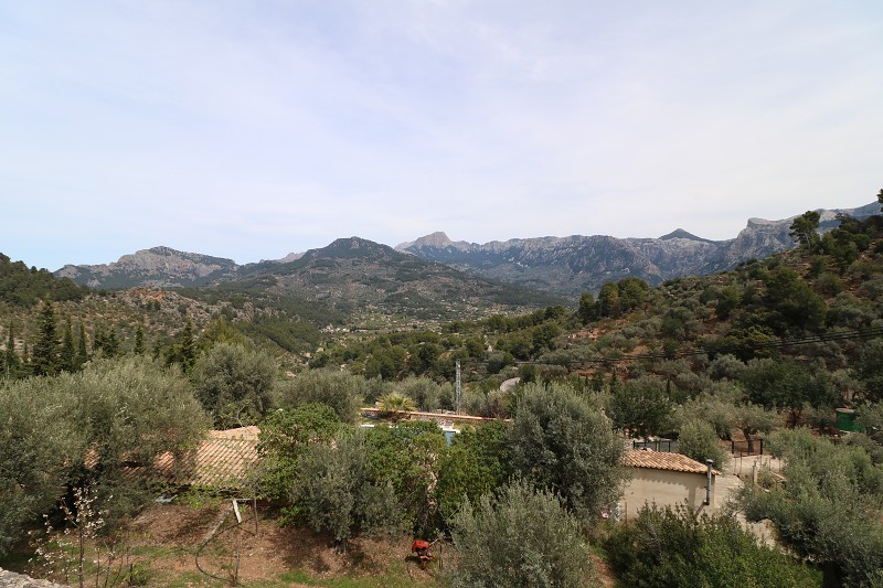 IMG_3995.jpg
