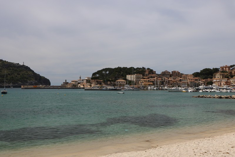 IMG_4019.jpg
