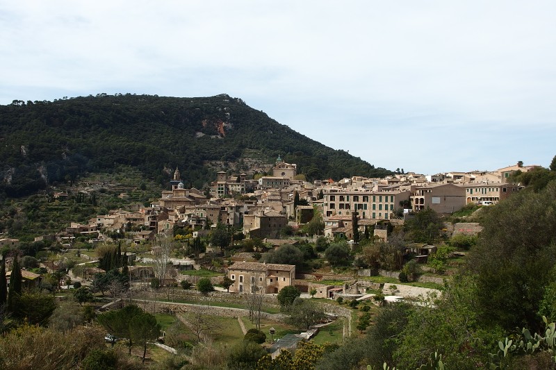 P4150186.jpg