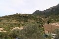 thn_IMG_3984.jpg