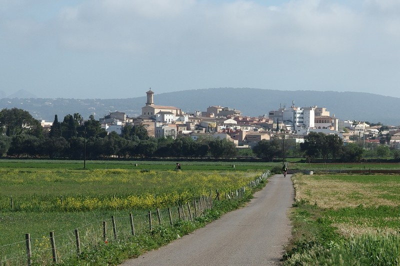 P4170251.jpg
