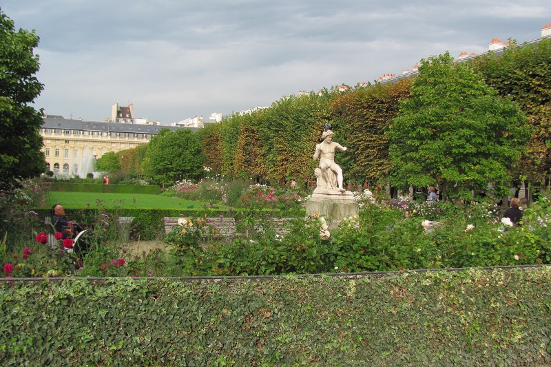 MIMG_4175.jpg