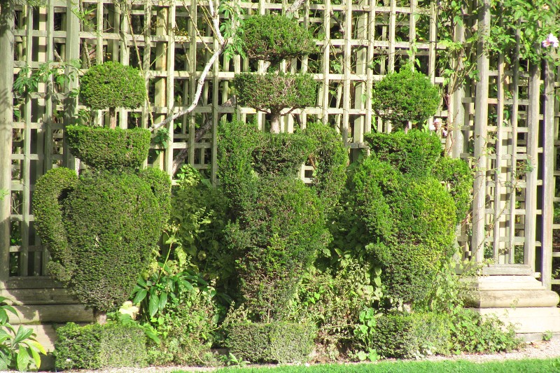 MIMG_4335.jpg