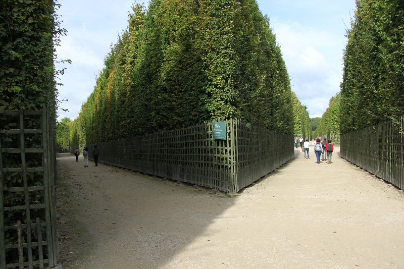 PIMG_3590.jpg