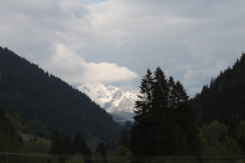 IMG_1954.jpg