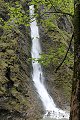 thn_IMG_1909.jpg