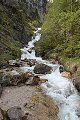 thn_IMG_1992.jpg