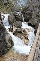 thn_IMG_2007.jpg