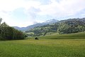 thn_IMG_2029.jpg
