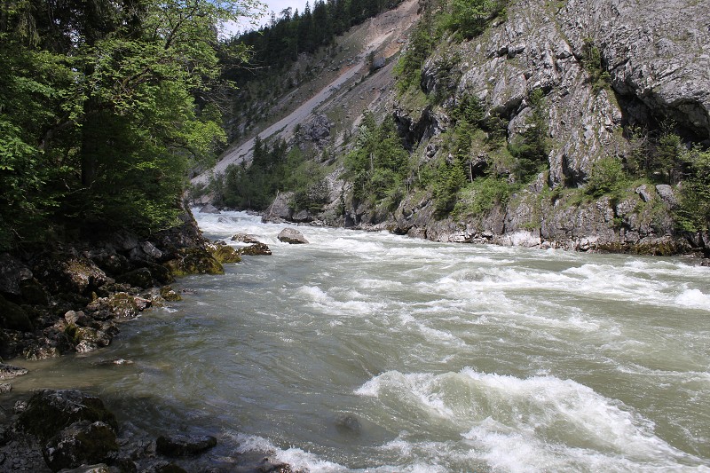 IMG_2130.jpg