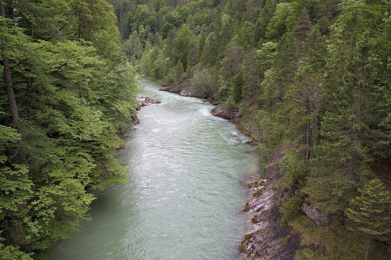 IMG_2186.jpg