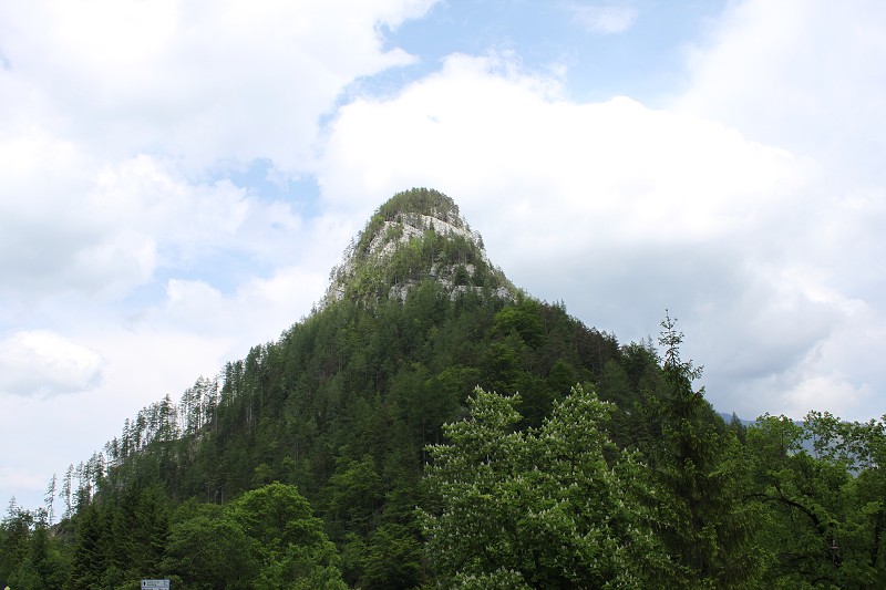 IMG_2245.jpg