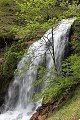 thn_IMG_2193.jpg