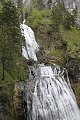 thn_IMG_2208.jpg