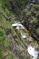 thn_IMG_2238.jpg