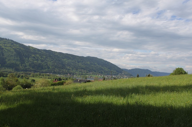 IMG_9869.jpg