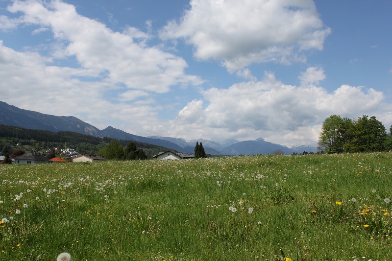 IMG_9887.jpg