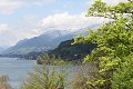 thn_IMG_9895.jpg