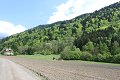 thn_IMG_9901.jpg