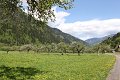 thn_IMG_9905.jpg