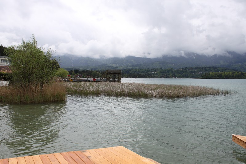 IMG_9971.jpg