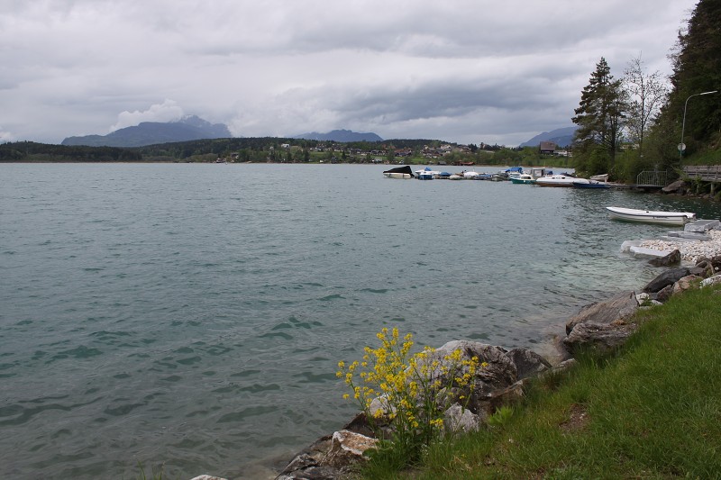 IMG_9991.jpg
