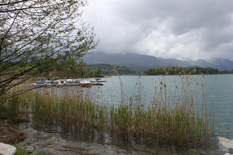 IMG_9992.jpg