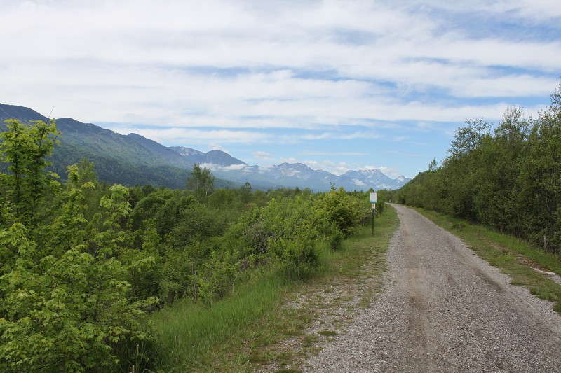 IMG_0090.jpg