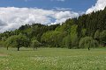 thn_IMG_0124.jpg