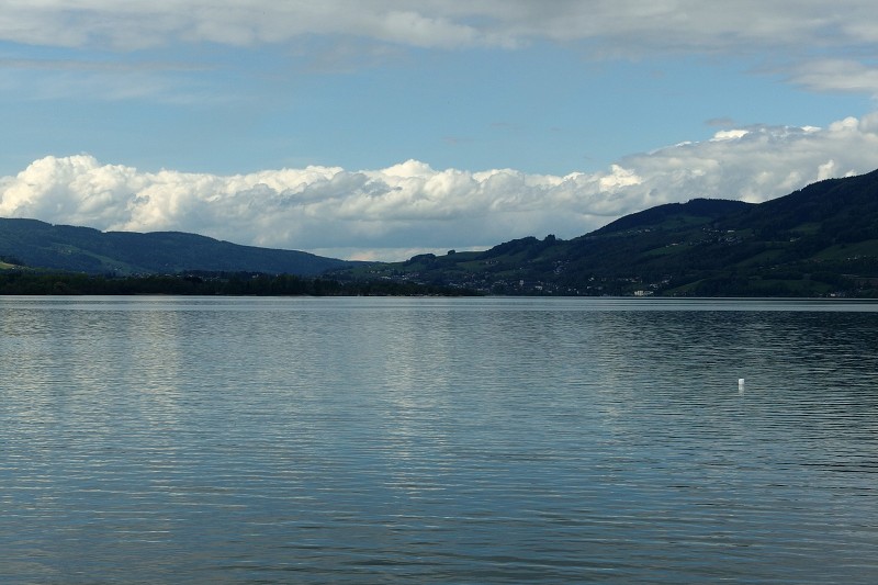 P5080017.jpg