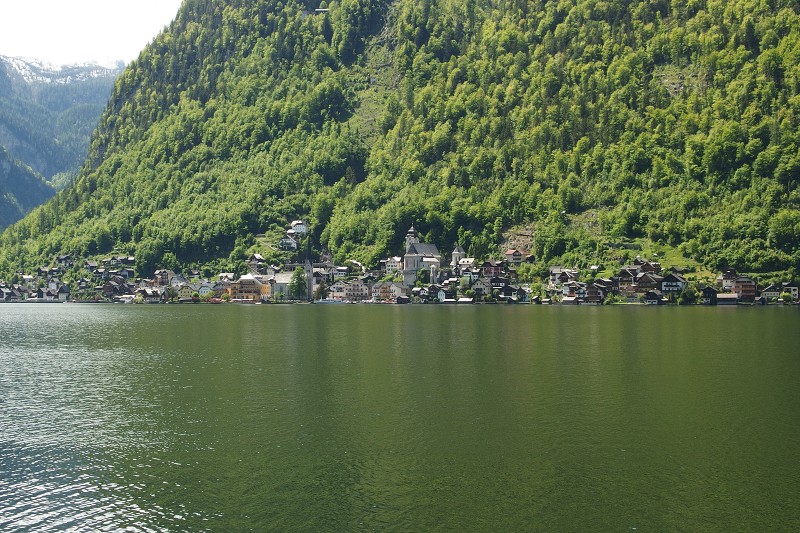 P5100164.jpg