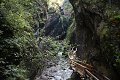 thn_IMG_0512.jpg
