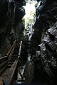 thn_IMG_0529.jpg