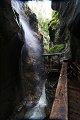thn_IMG_0531.jpg