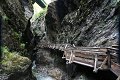 thn_IMG_0537.jpg