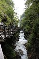 thn_IMG_0541.jpg