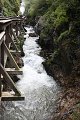 thn_IMG_0548.jpg