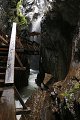 thn_IMG_0572.jpg